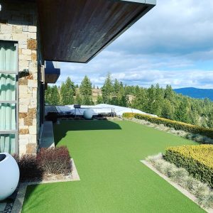 Turf 3